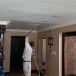 Painting Contractors Edenvale