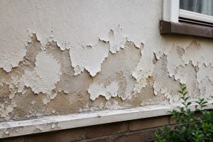 Peeling Paint Kempton Park